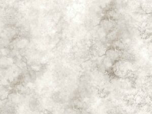 Textured Montejo Bianco Porcelain Paver 600x600x20mm. 103592
